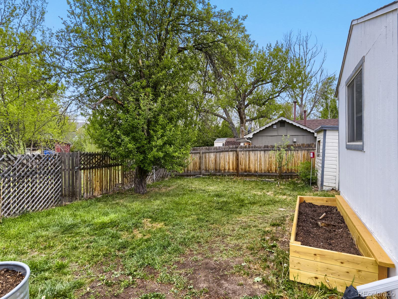 11916 W 13th Avenue Lakewood CO 80401
