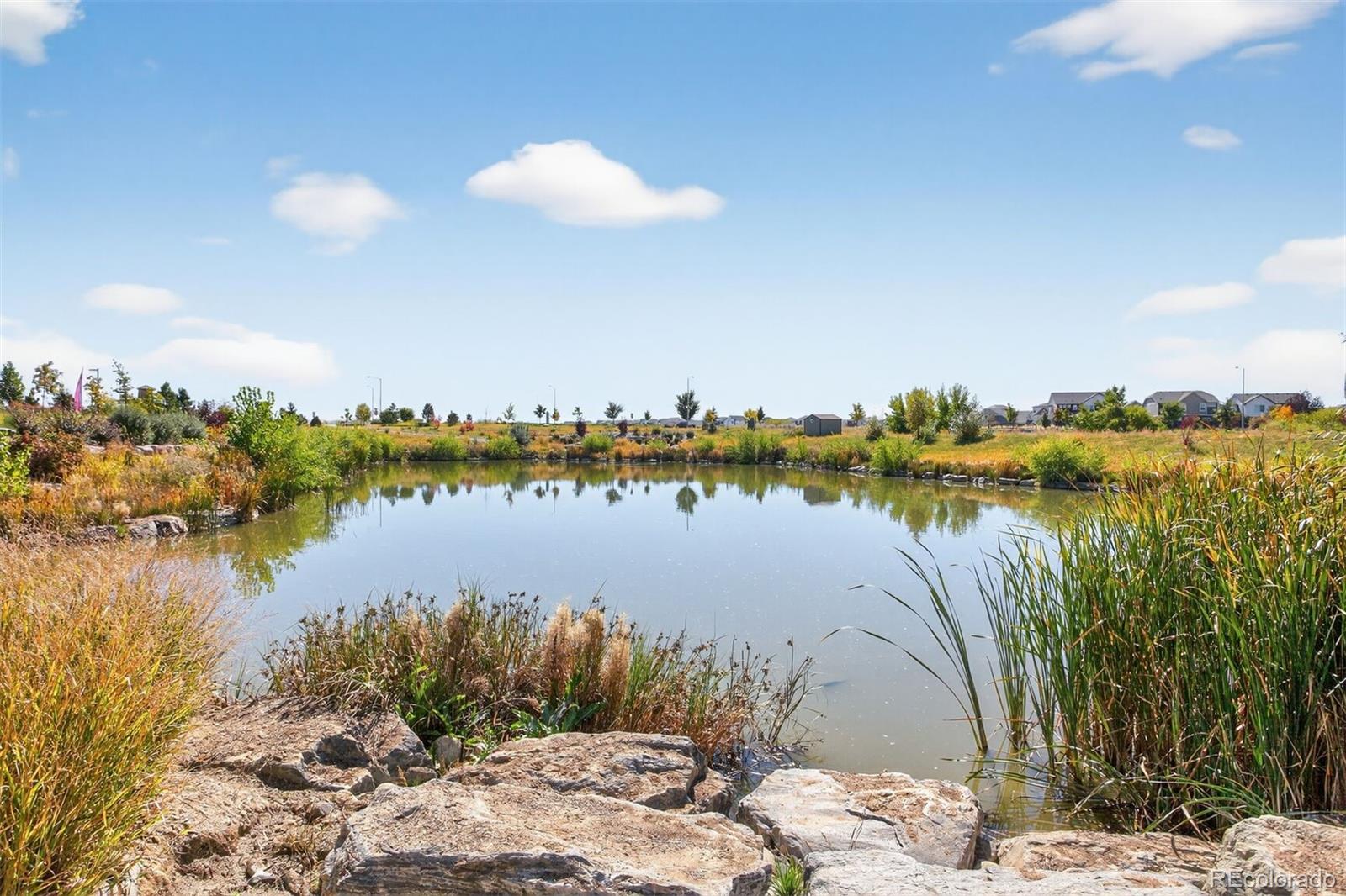 5136 N Quemoy Court Aurora CO 80019