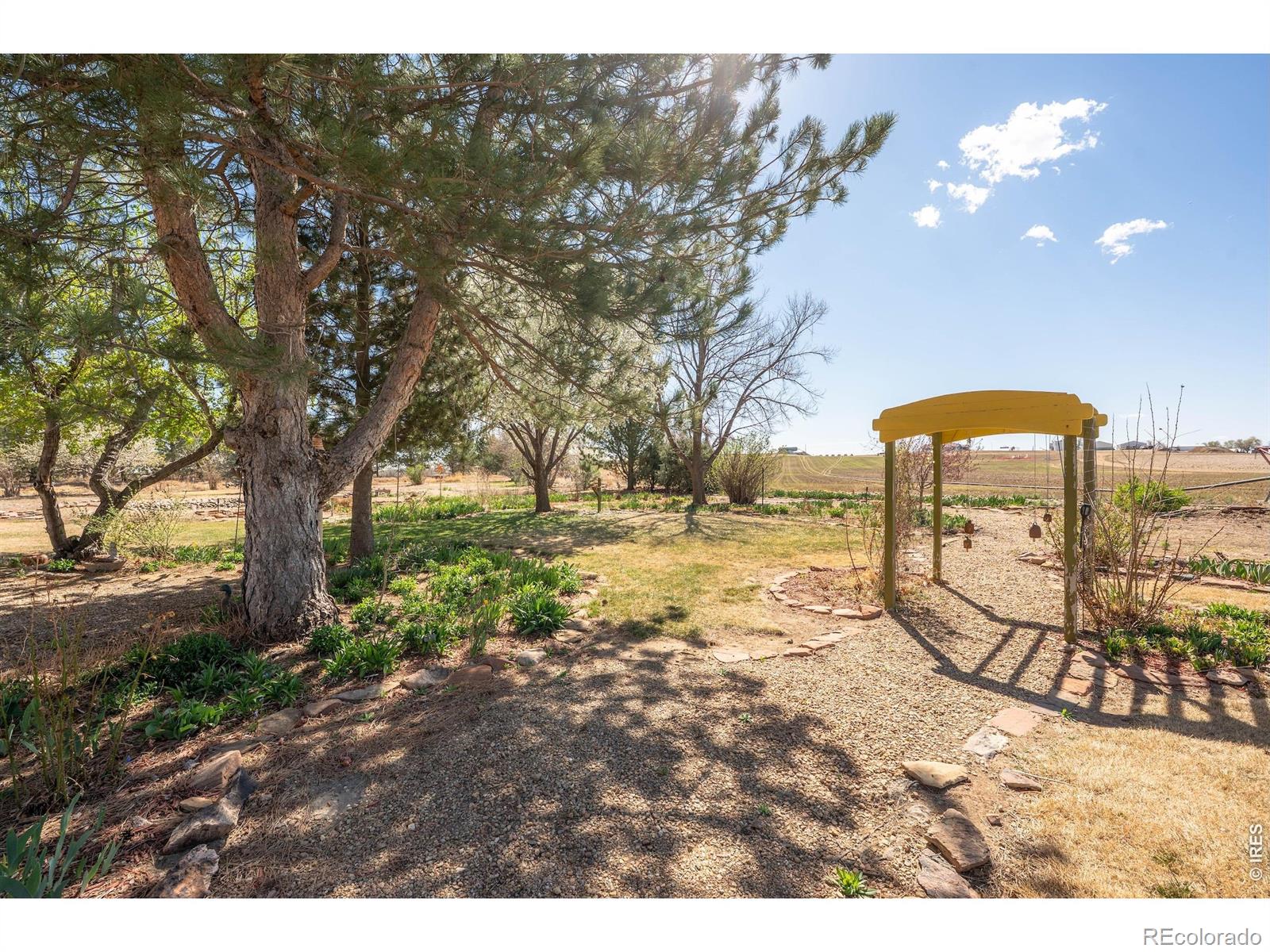 1558 County Road 20 1/2 Longmont CO 80504