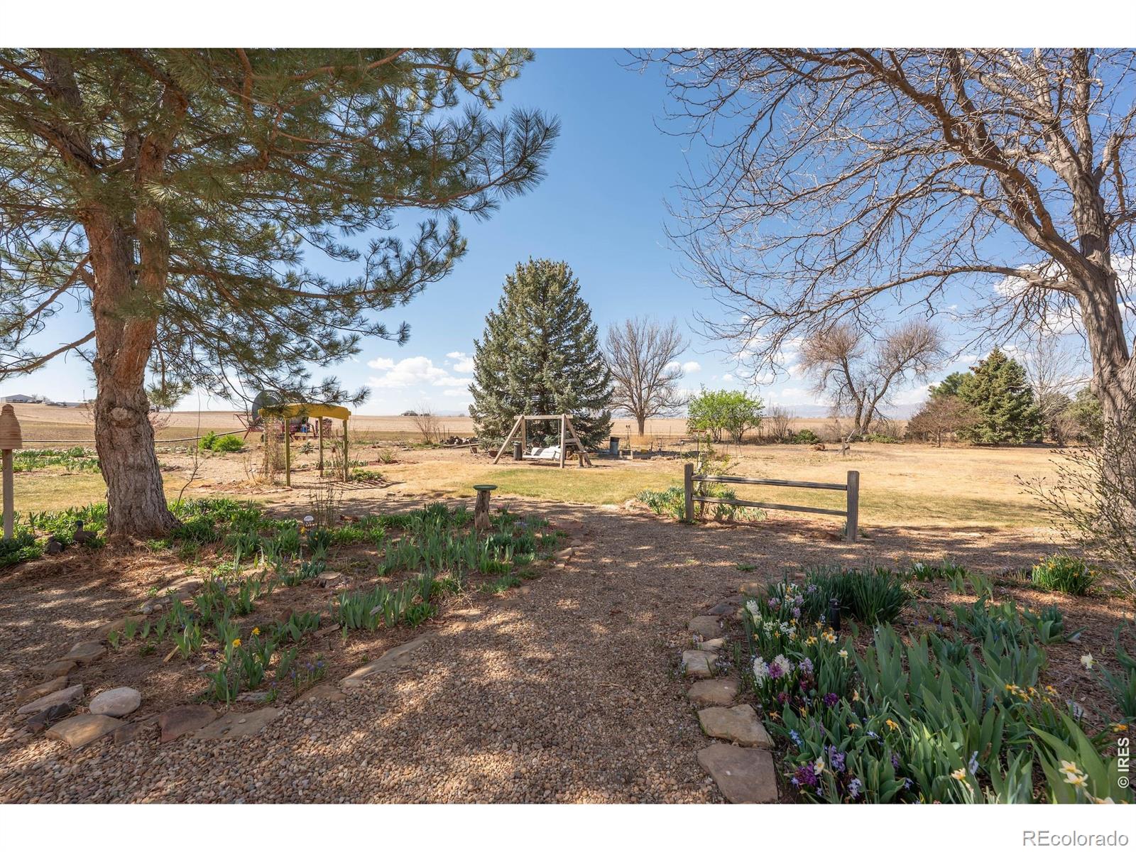 1558 County Road 20 1/2 Longmont CO 80504