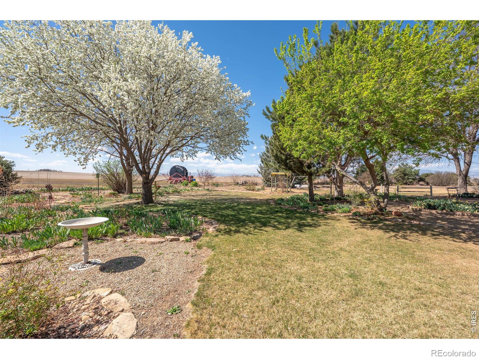 1558 County Road 20 1/2 Longmont CO 80504
