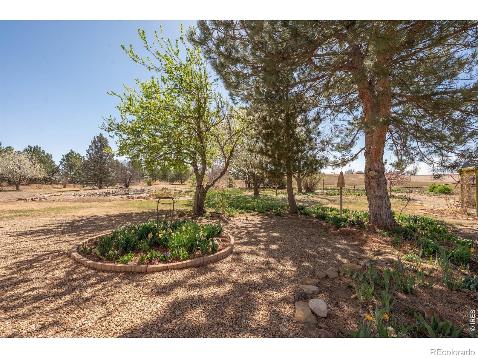 1558 County Road 20 1/2 Longmont CO 80504