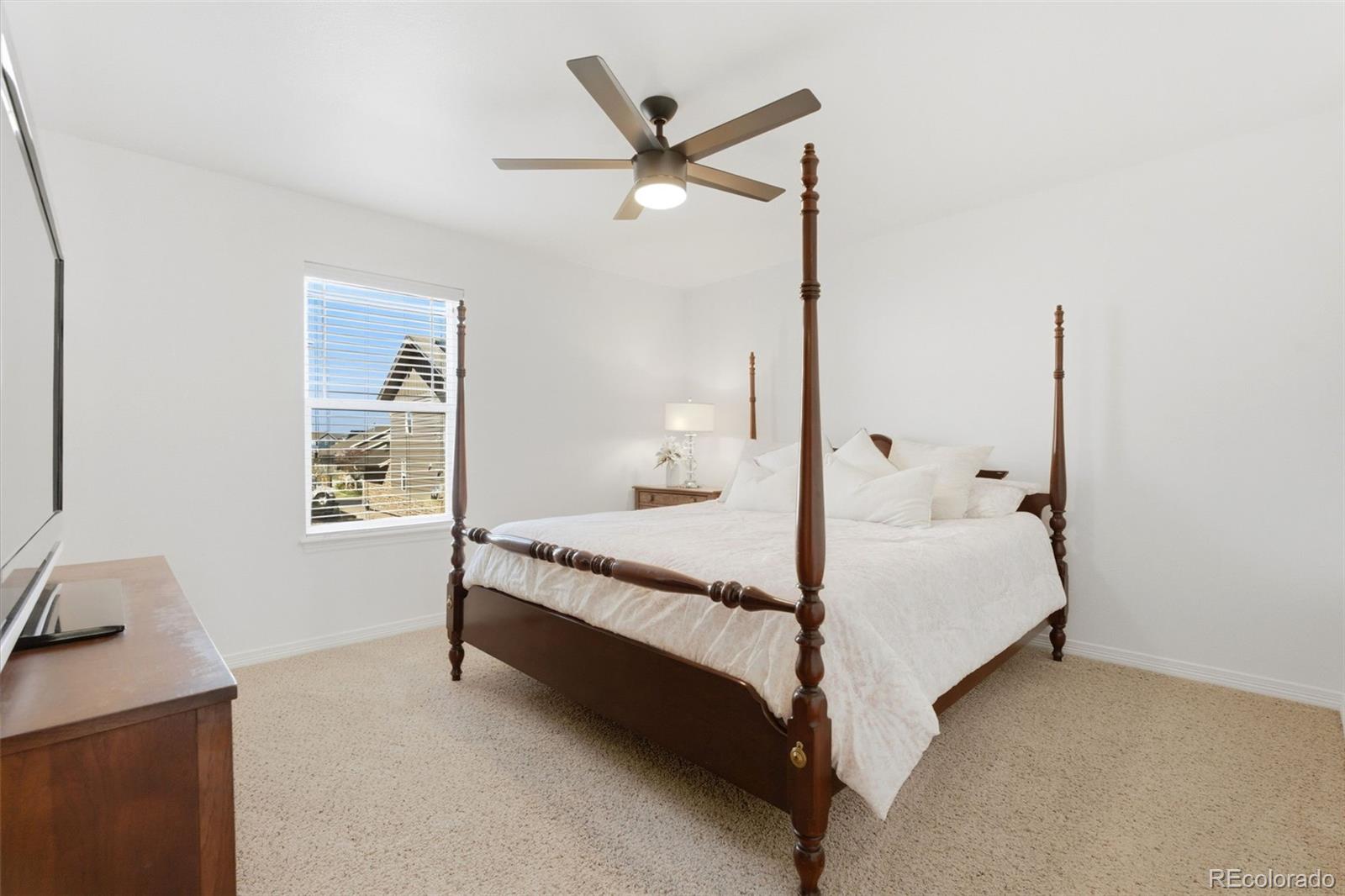 6247 S Muscadine Court Aurora CO 80016