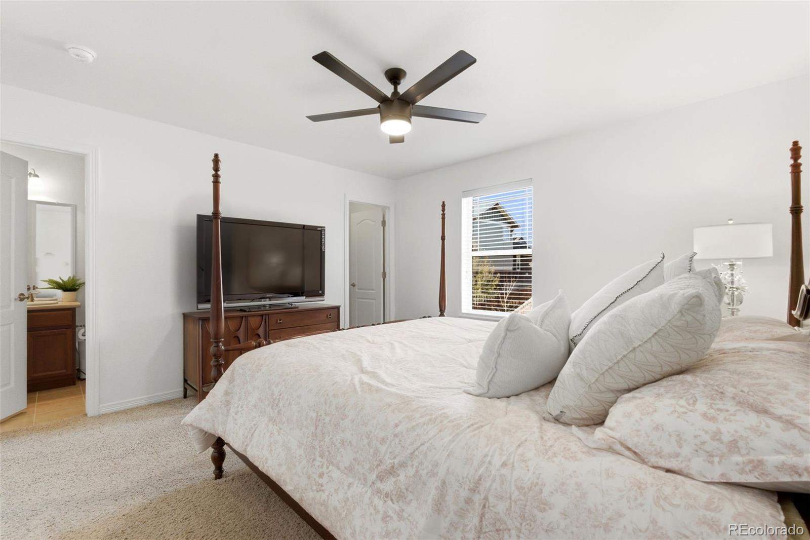 6247 S Muscadine Court Aurora CO 80016