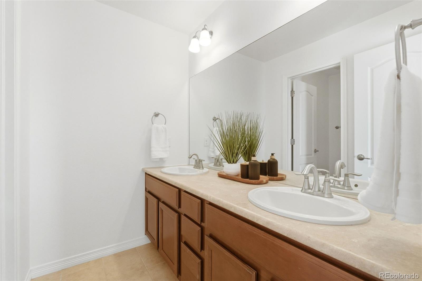 6247 S Muscadine Court Aurora CO 80016