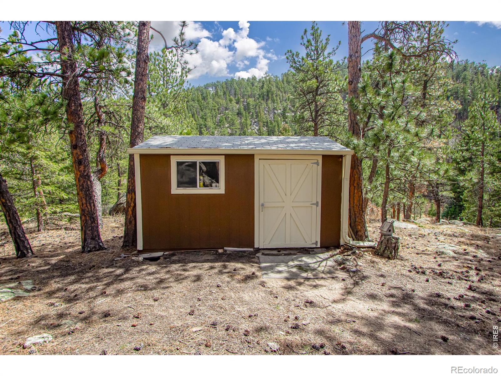 117 Aspen Drive Lyons CO 80540
