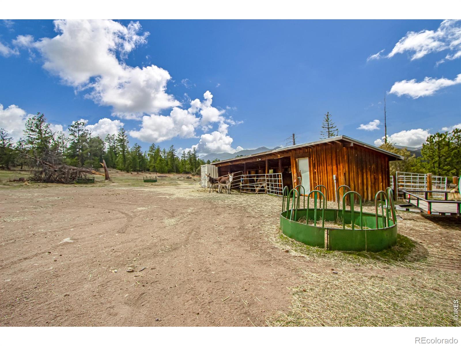 117 Aspen Drive Lyons CO 80540
