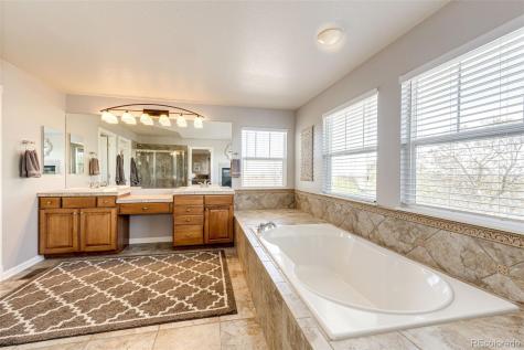 10634 Amesbury Way Highlands Ranch CO 80126
