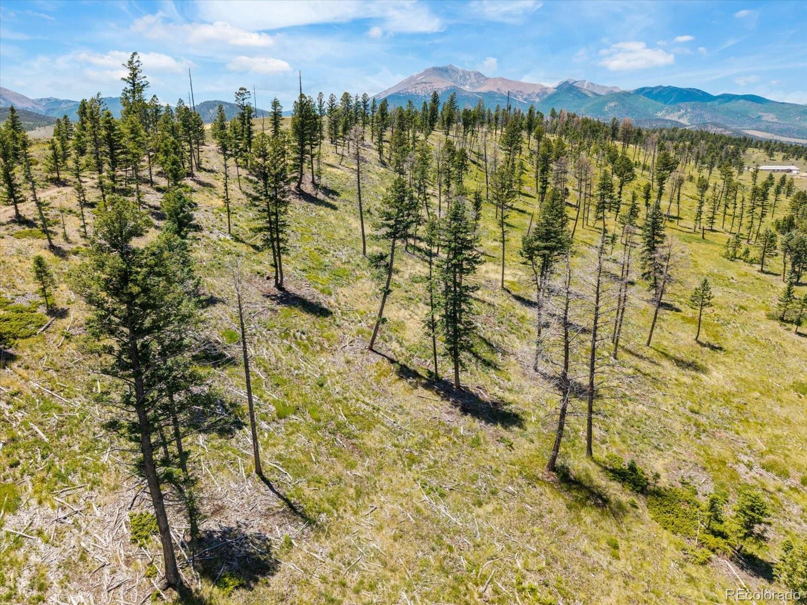 45835 Highway 285 Poncha Springs CO 81242