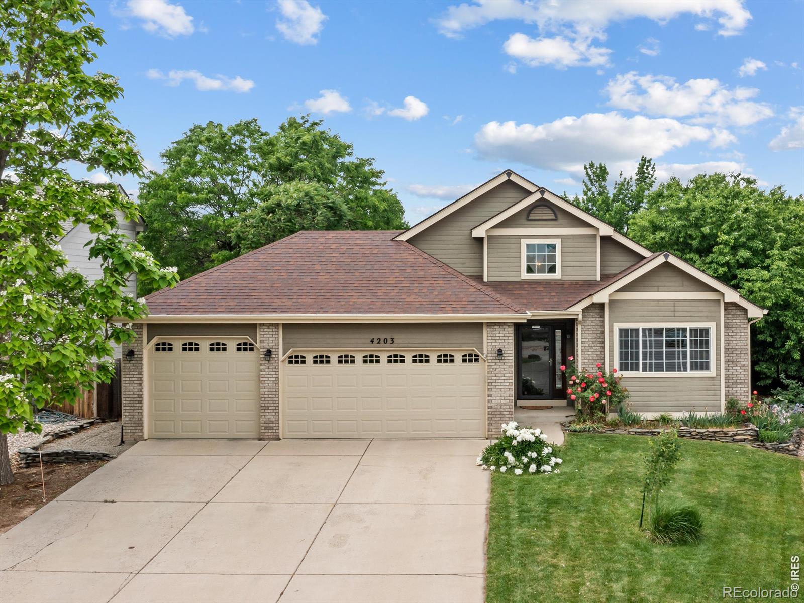 4203 Lookout Lane Fort Collins CO 80526