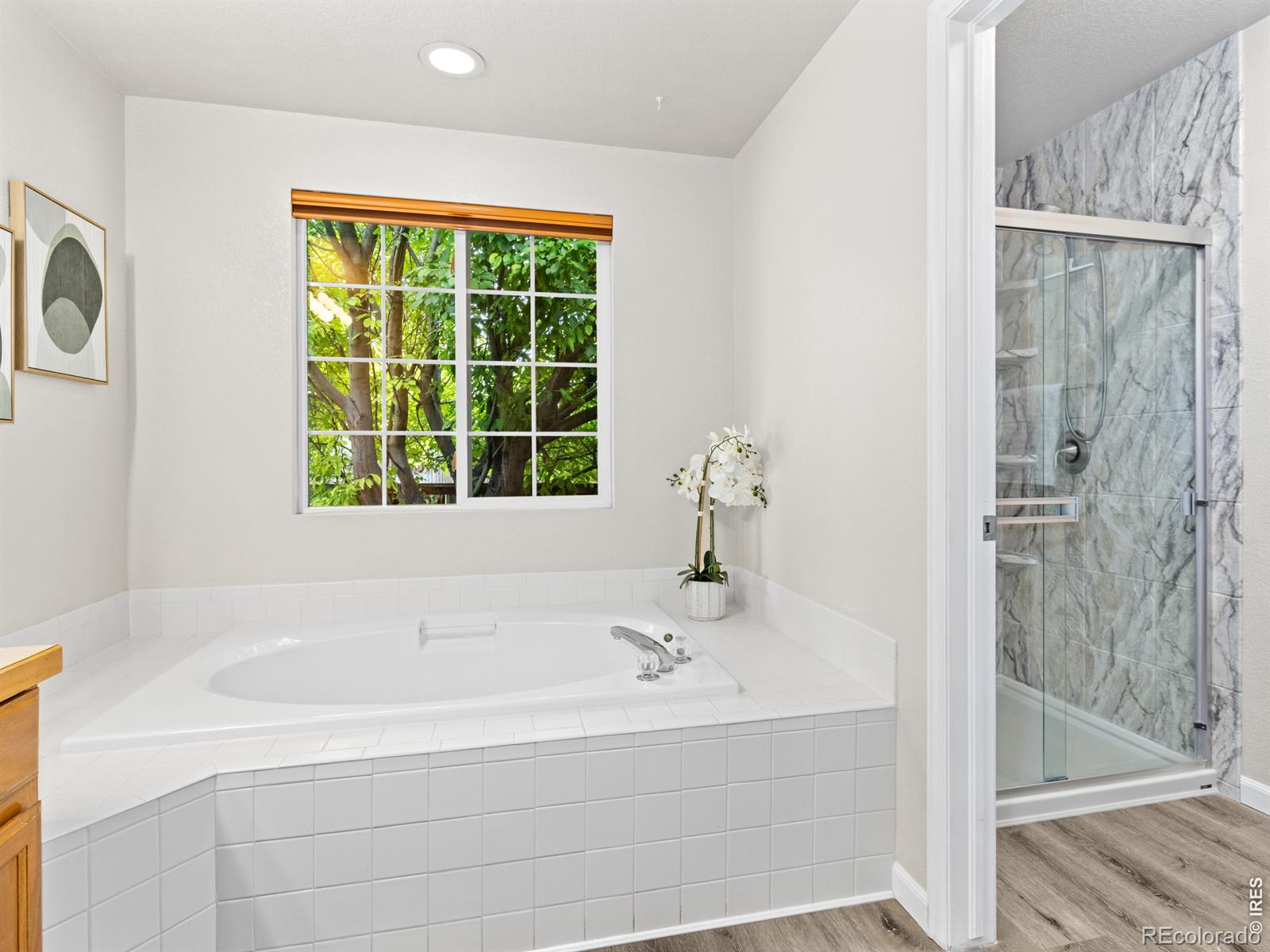4203 Lookout Lane Fort Collins CO 80526