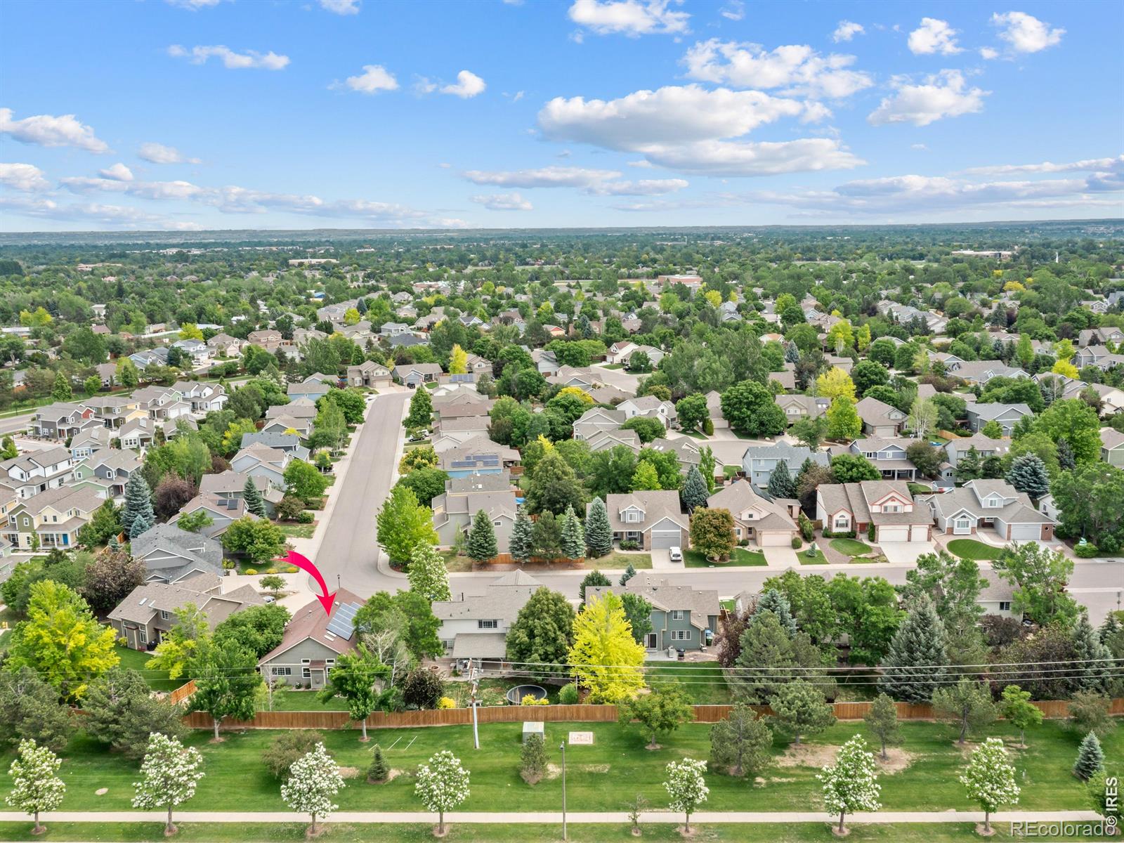 4203 Lookout Lane Fort Collins CO 80526
