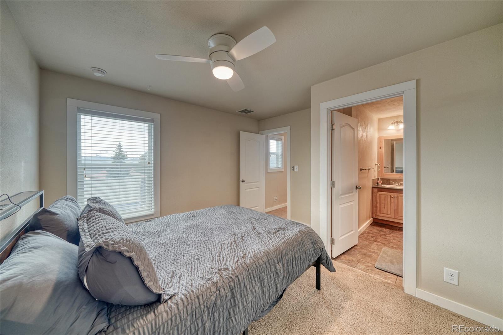 203 Chestnut Street Leadville CO 80461