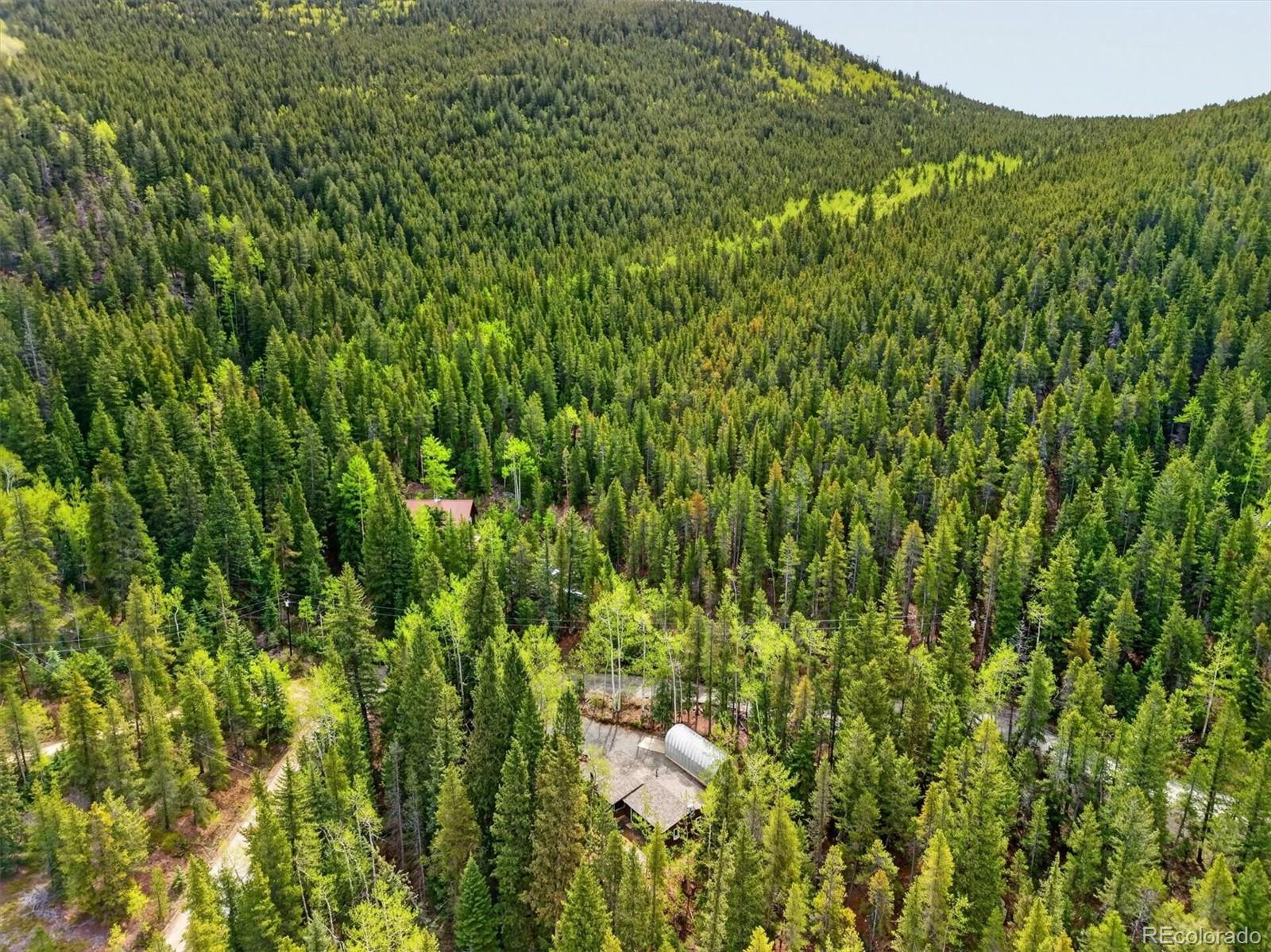 647 Old Little Bear Creek Road Idaho Springs CO 80452