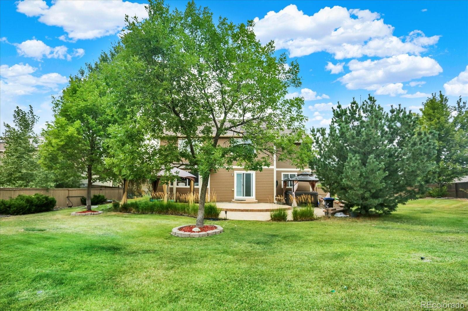 1080 Oldfield Street Castle Rock CO 80104