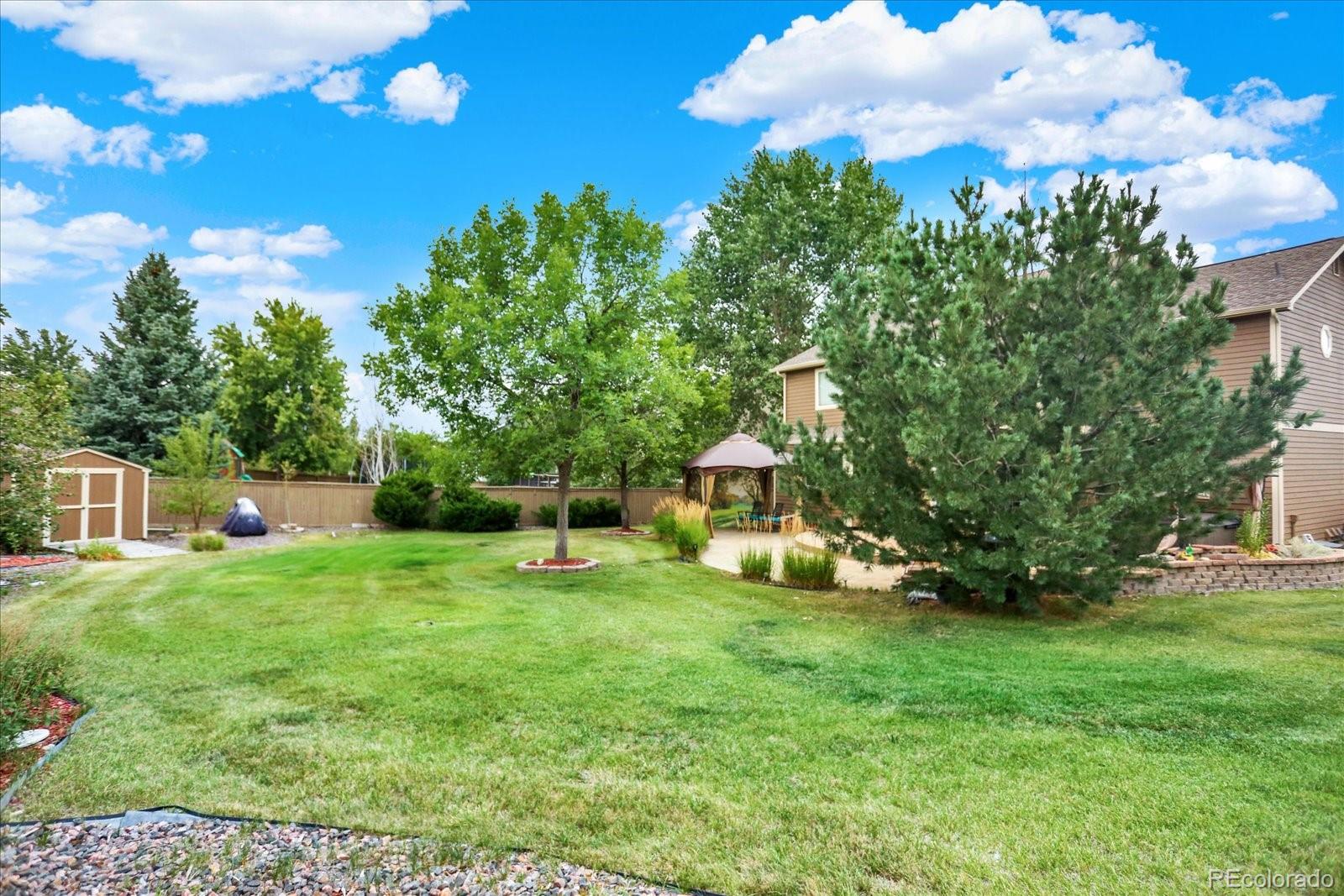 1080 Oldfield Street Castle Rock CO 80104