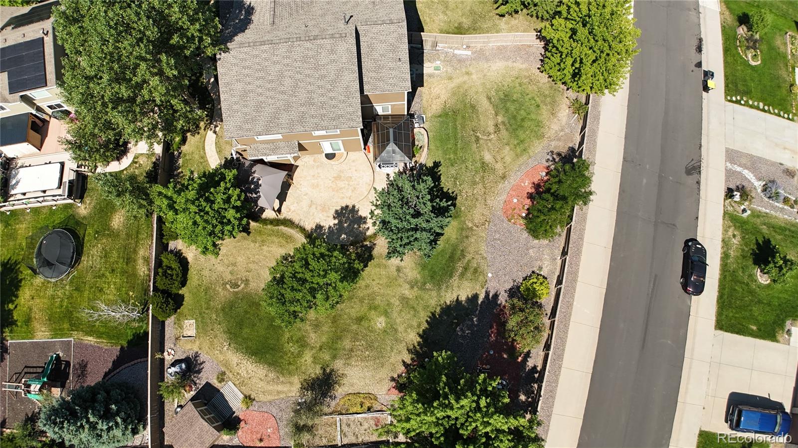 1080 Oldfield Street Castle Rock CO 80104