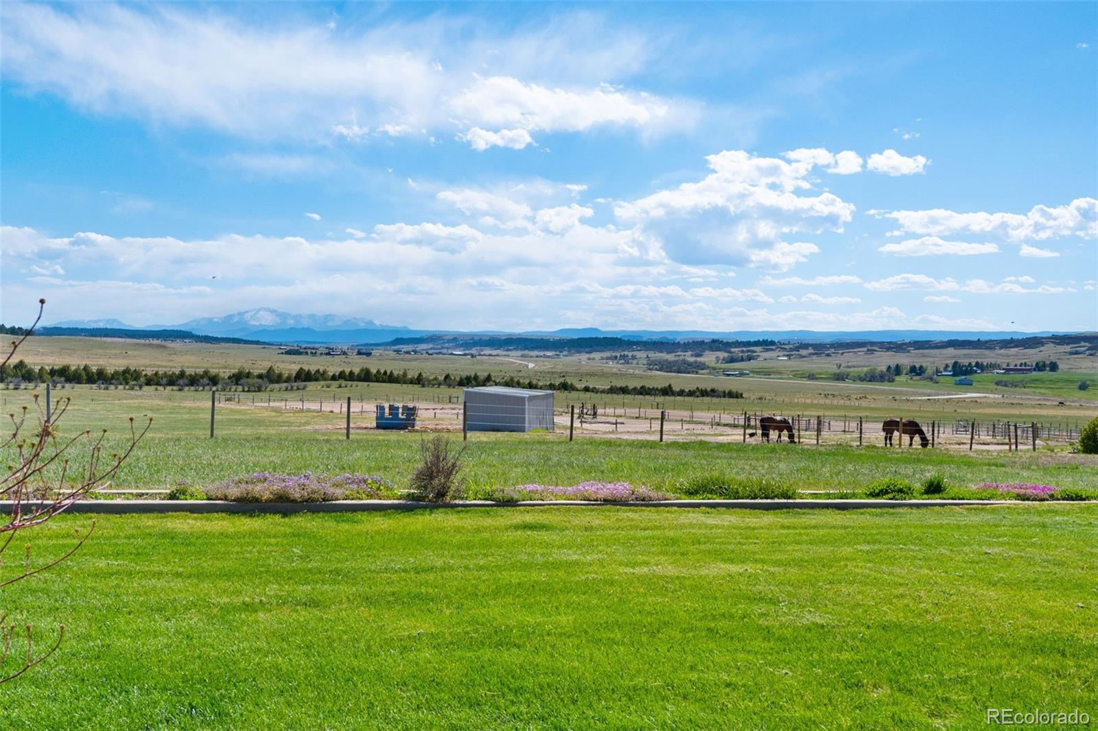 10547 Gillian Avenue Franktown CO 80116