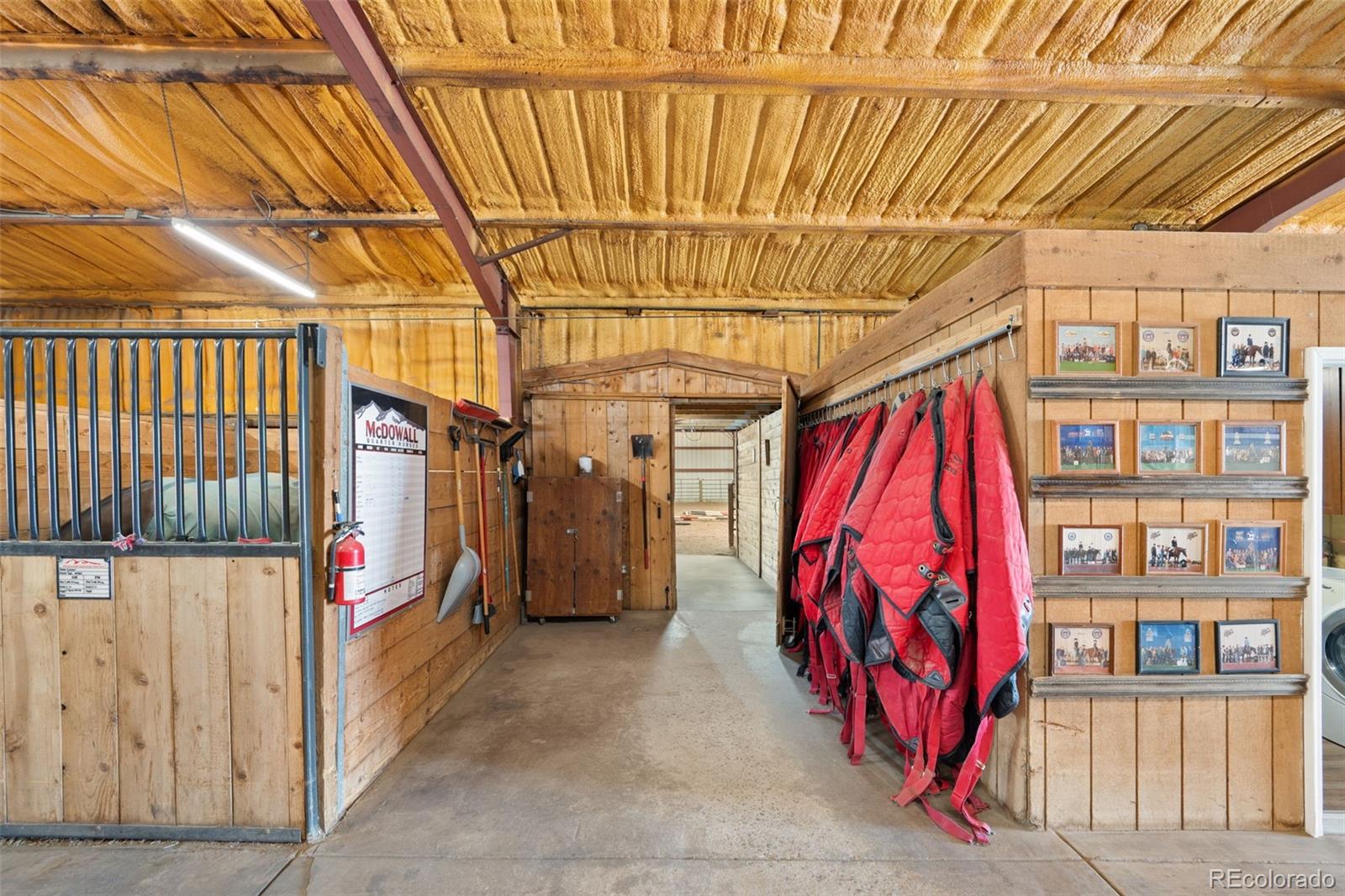 10547 Gillian Avenue Franktown CO 80116