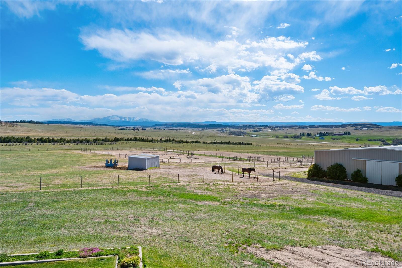 10547 Gillian Avenue Franktown CO 80116