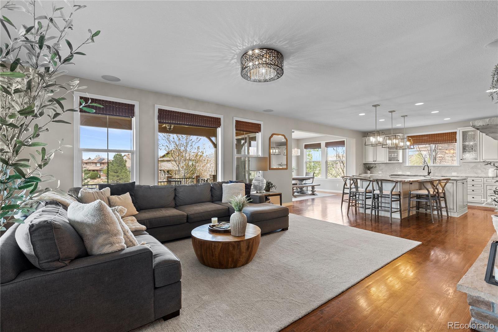 201 Maplehurst Point Highlands Ranch CO 80126