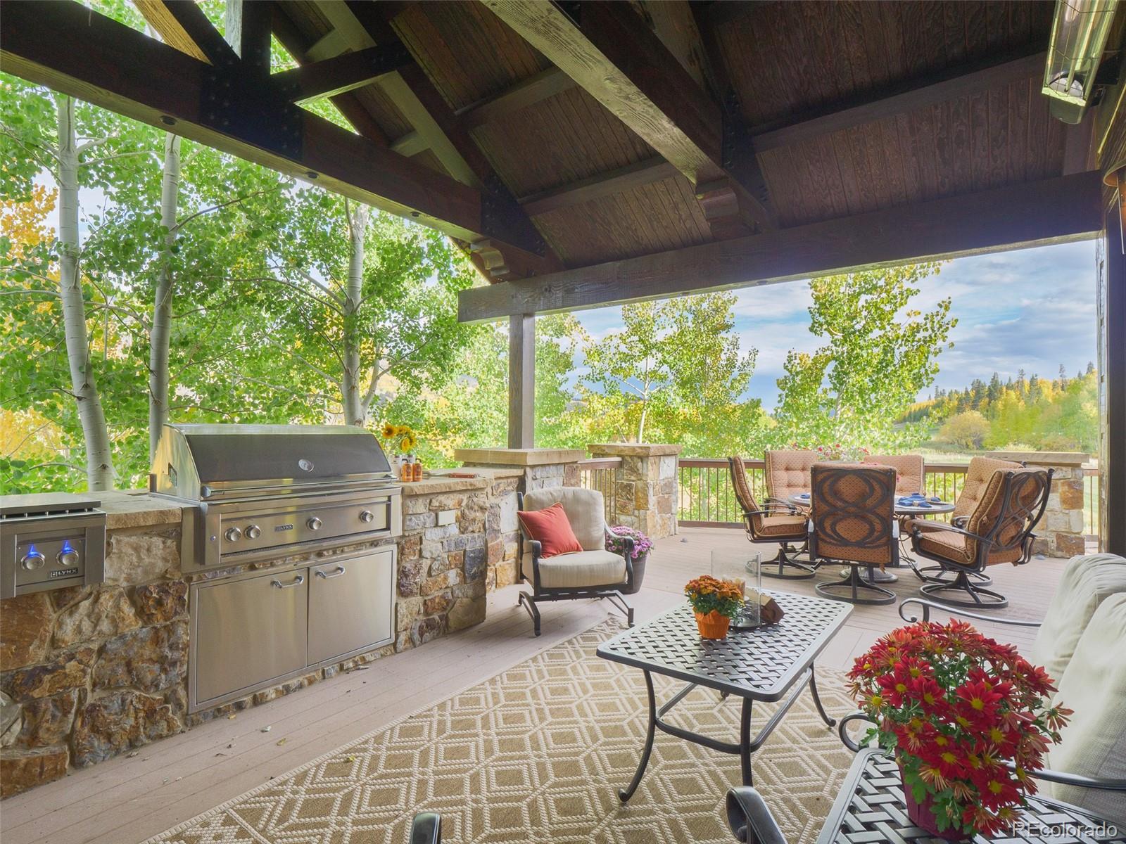 330 High Park Court Silverthorne CO 80498