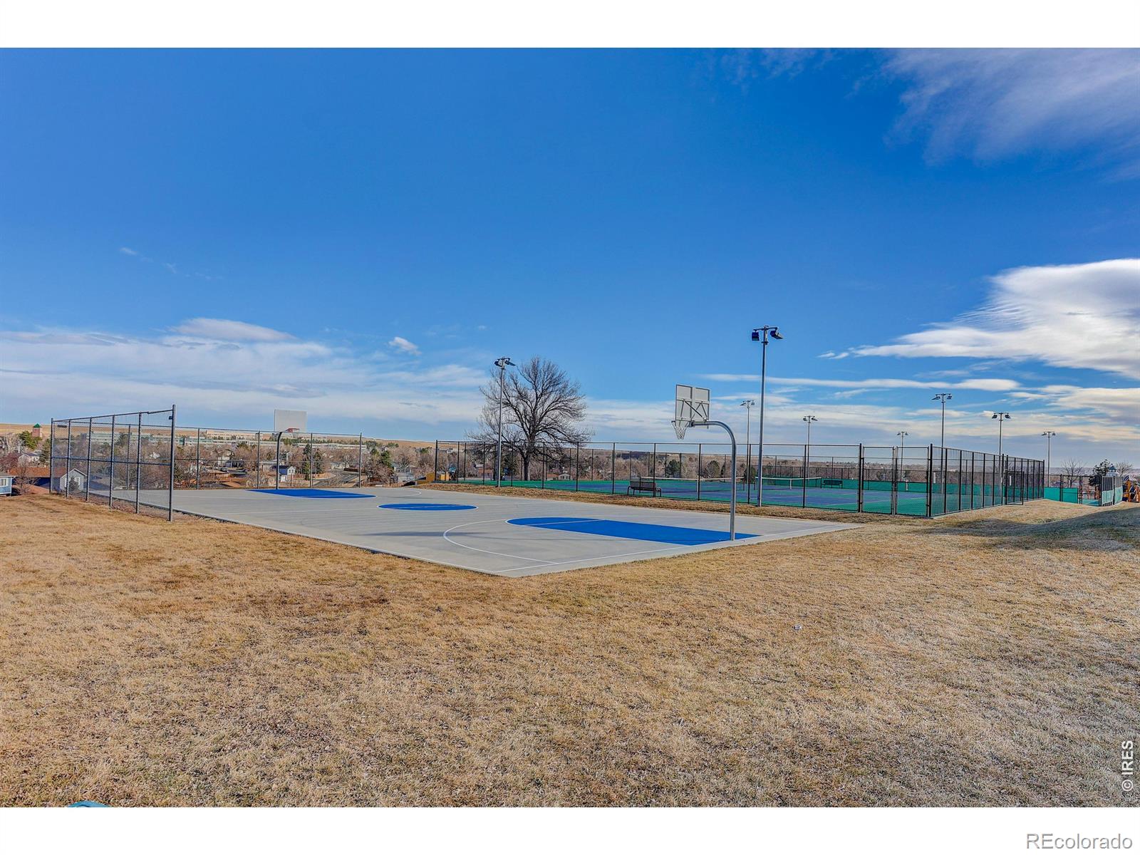 10696 Newcombe Street Westminster CO 80021