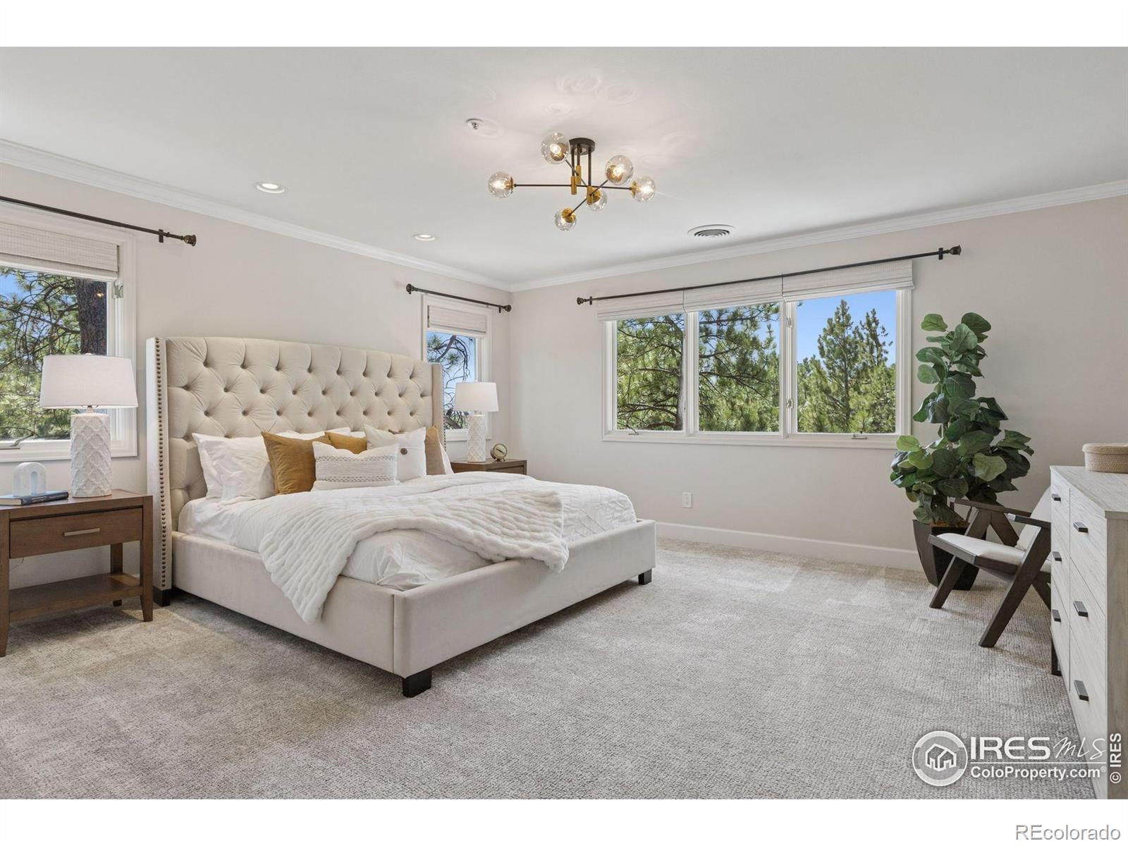 65 Indigo Way Castle Rock CO 80108