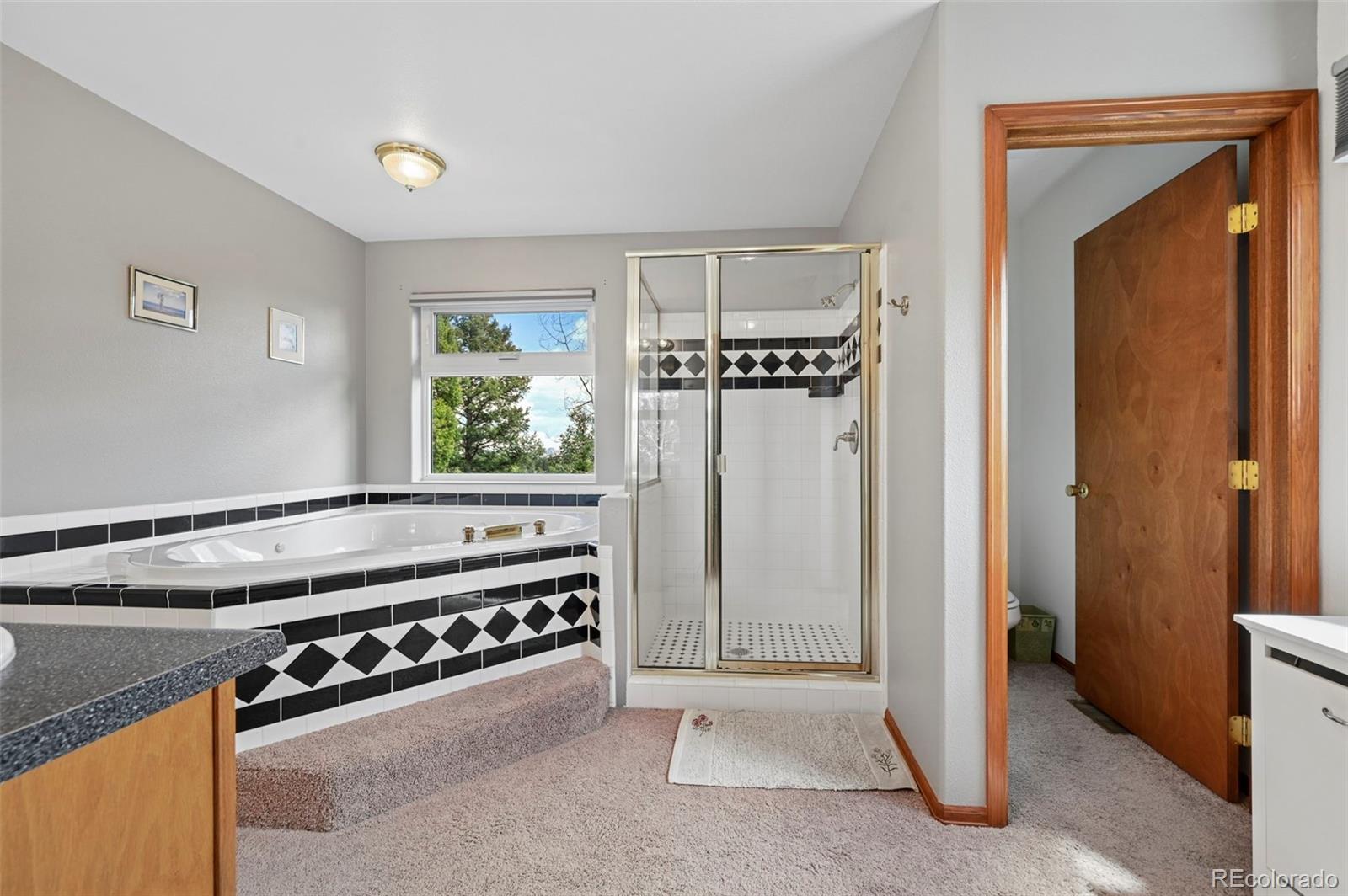 82 Apache Creek Florissant CO 80816