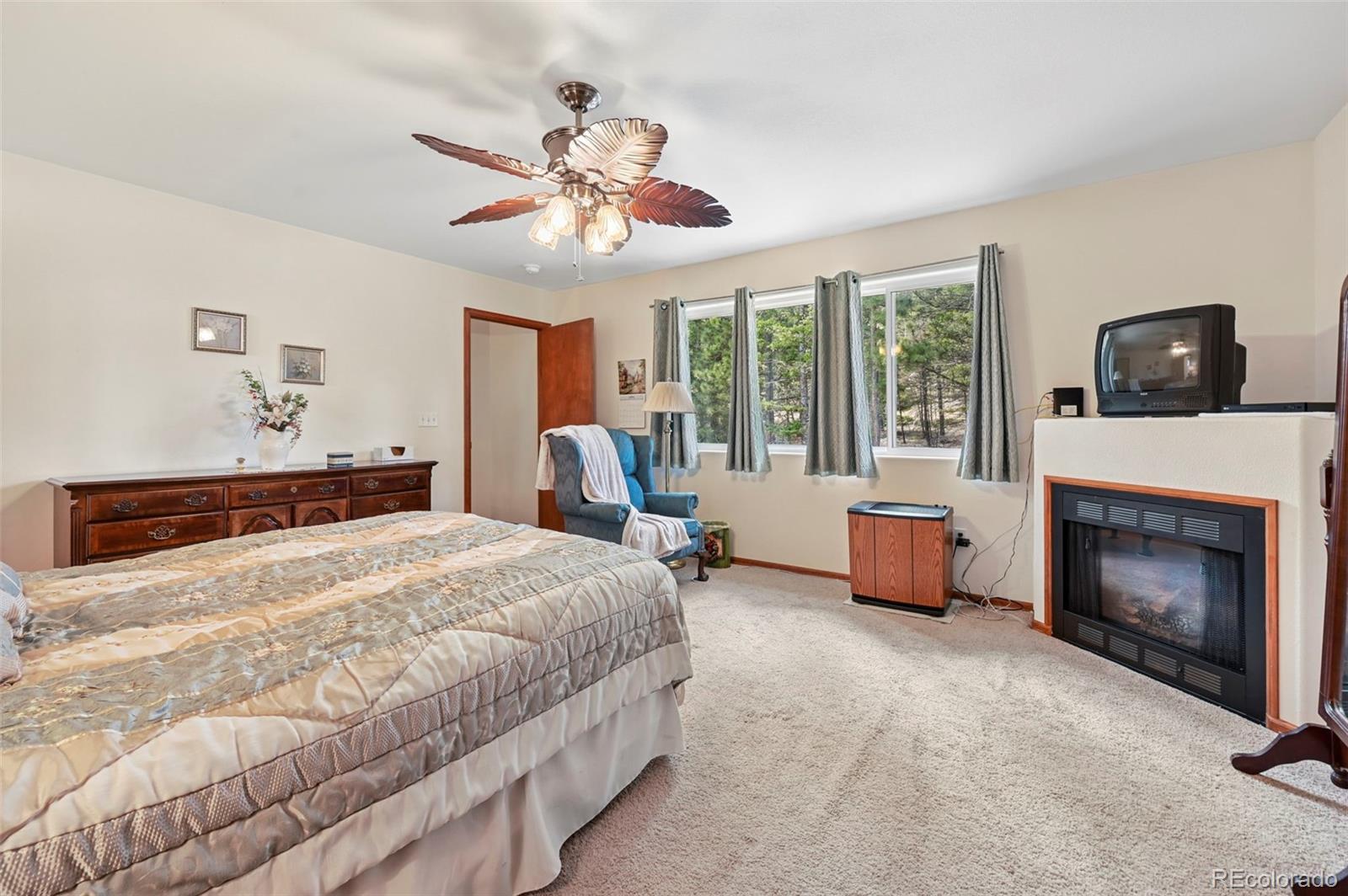 82 Apache Creek Florissant CO 80816