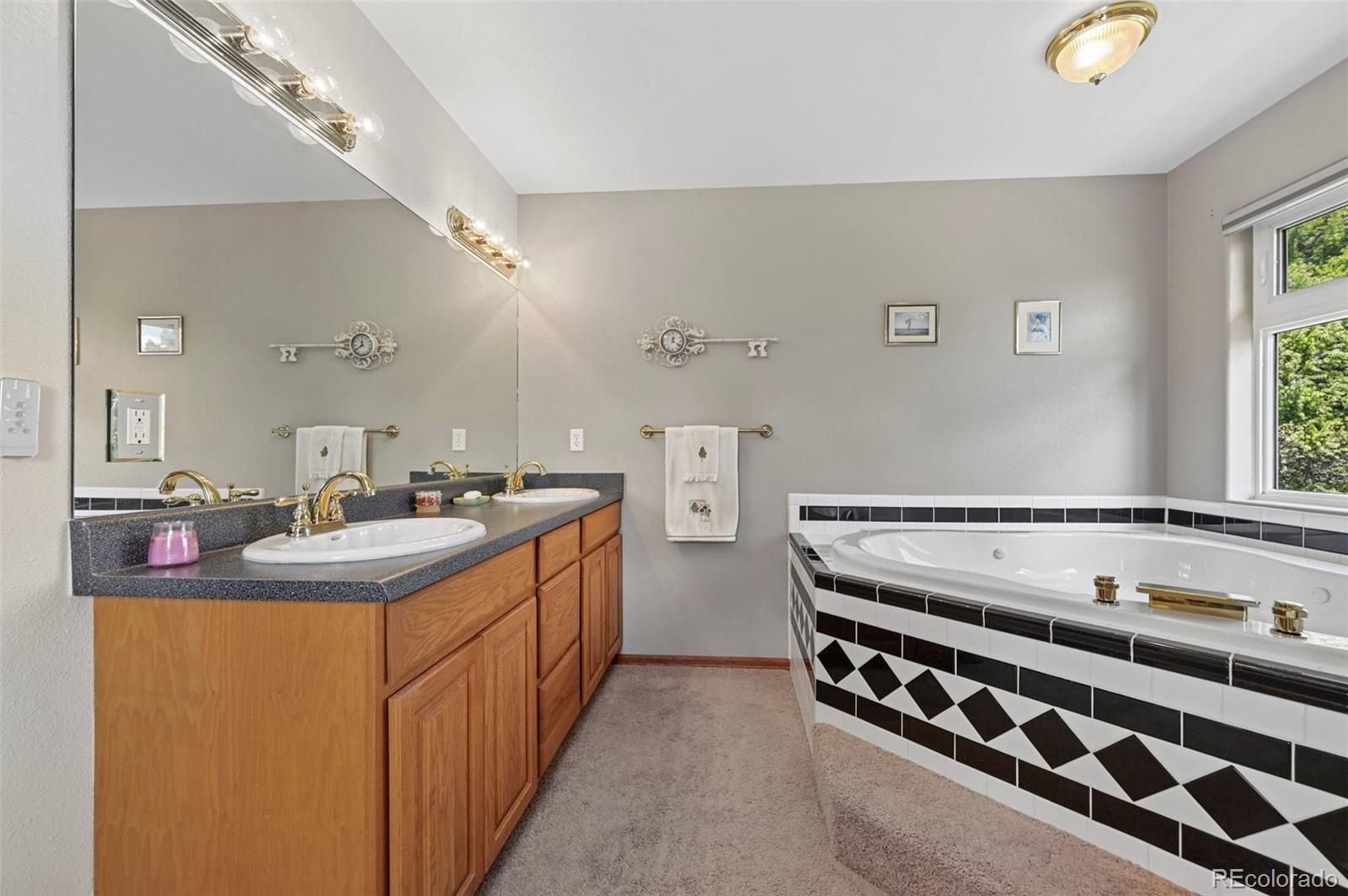 82 Apache Creek Florissant CO 80816