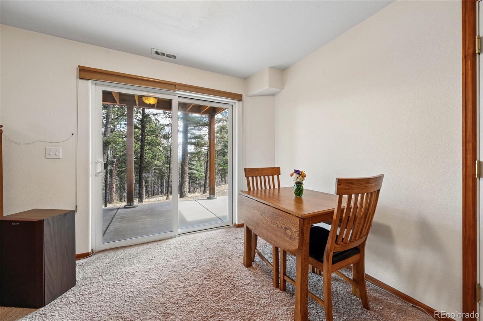 82 Apache Creek Florissant CO 80816