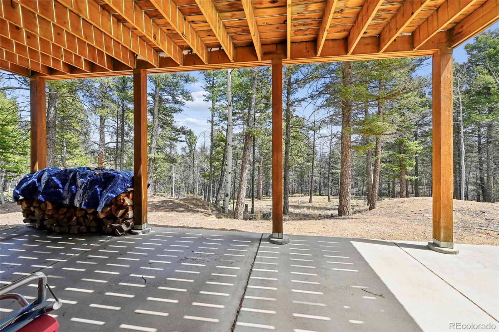 82 Apache Creek Florissant CO 80816