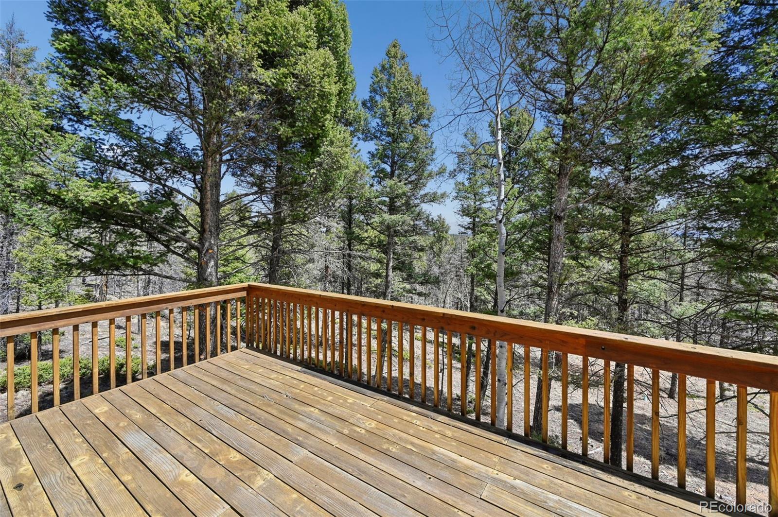 82 Apache Creek Florissant CO 80816