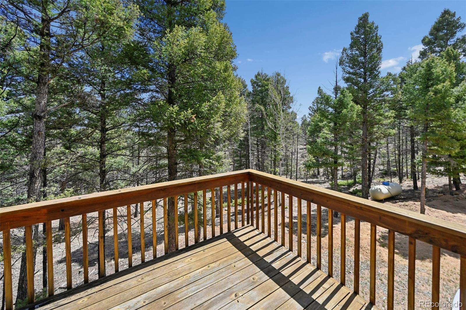 82 Apache Creek Florissant CO 80816