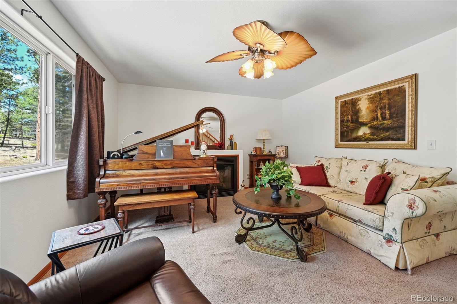 82 Apache Creek Florissant CO 80816