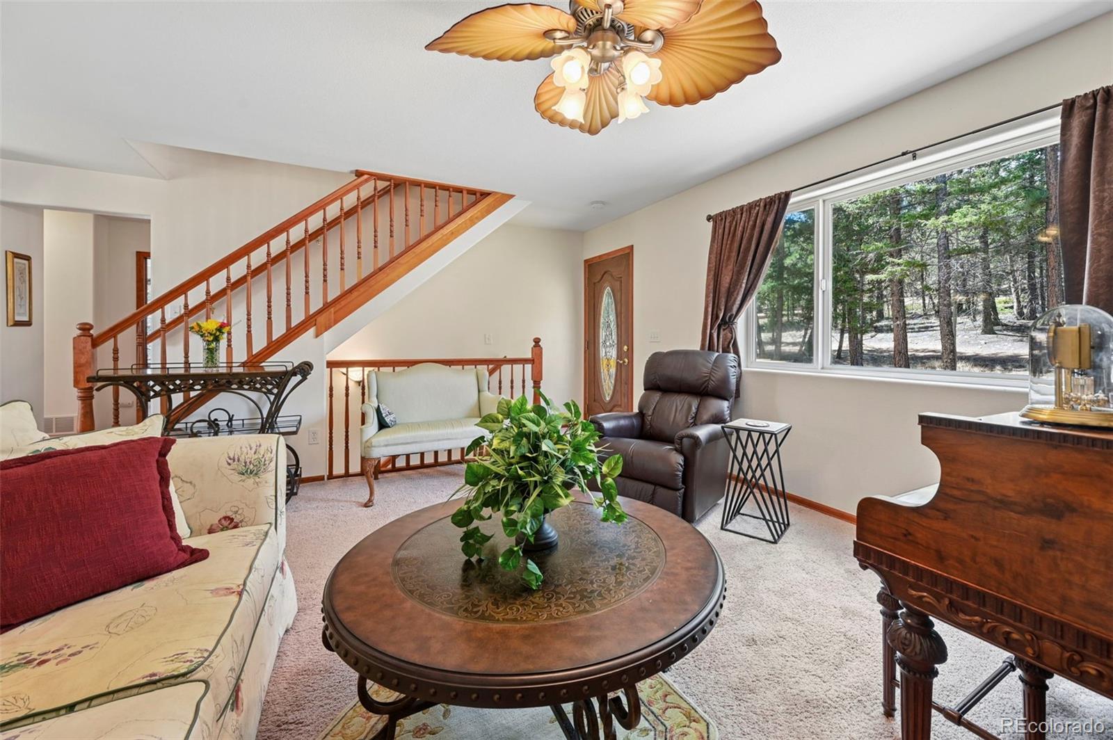 82 Apache Creek Florissant CO 80816