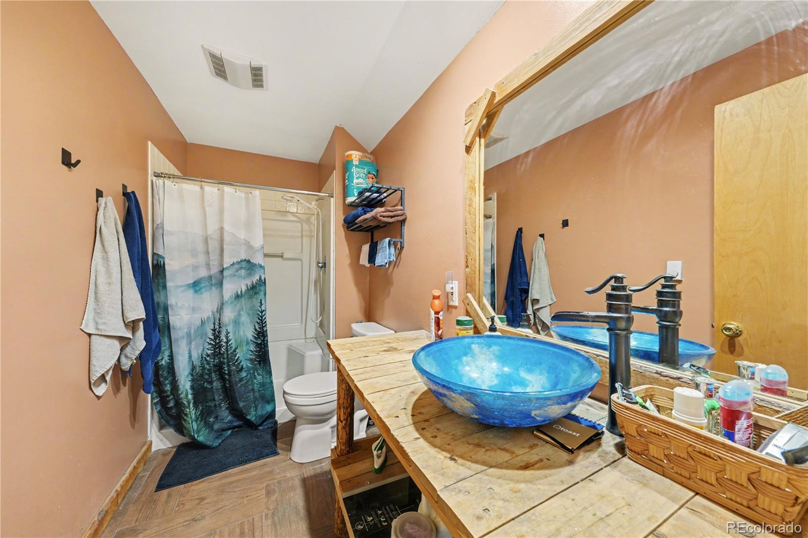 319 Springmeadow Way Red Feather Lakes CO 80545