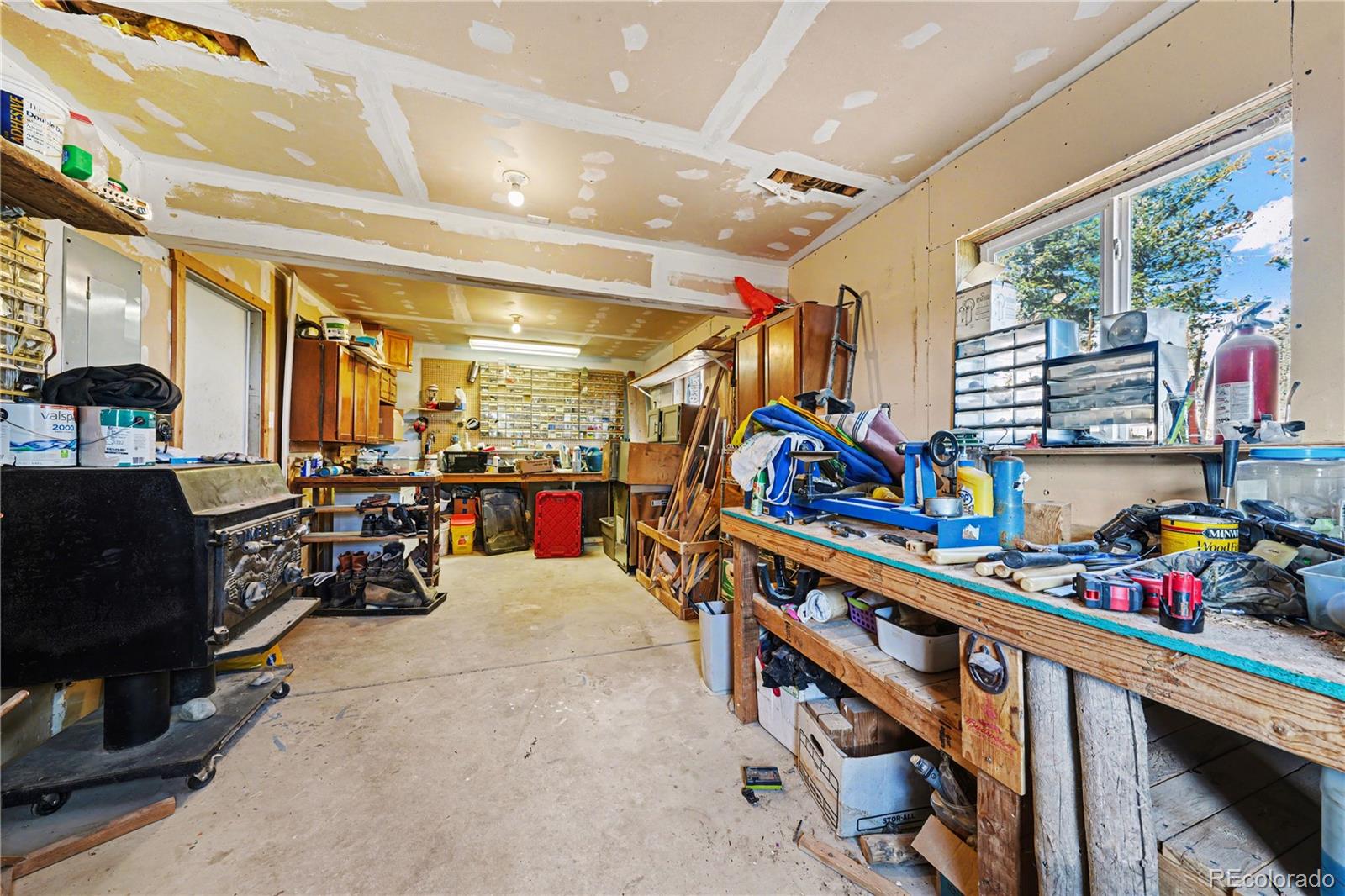 319 Springmeadow Way Red Feather Lakes CO 80545