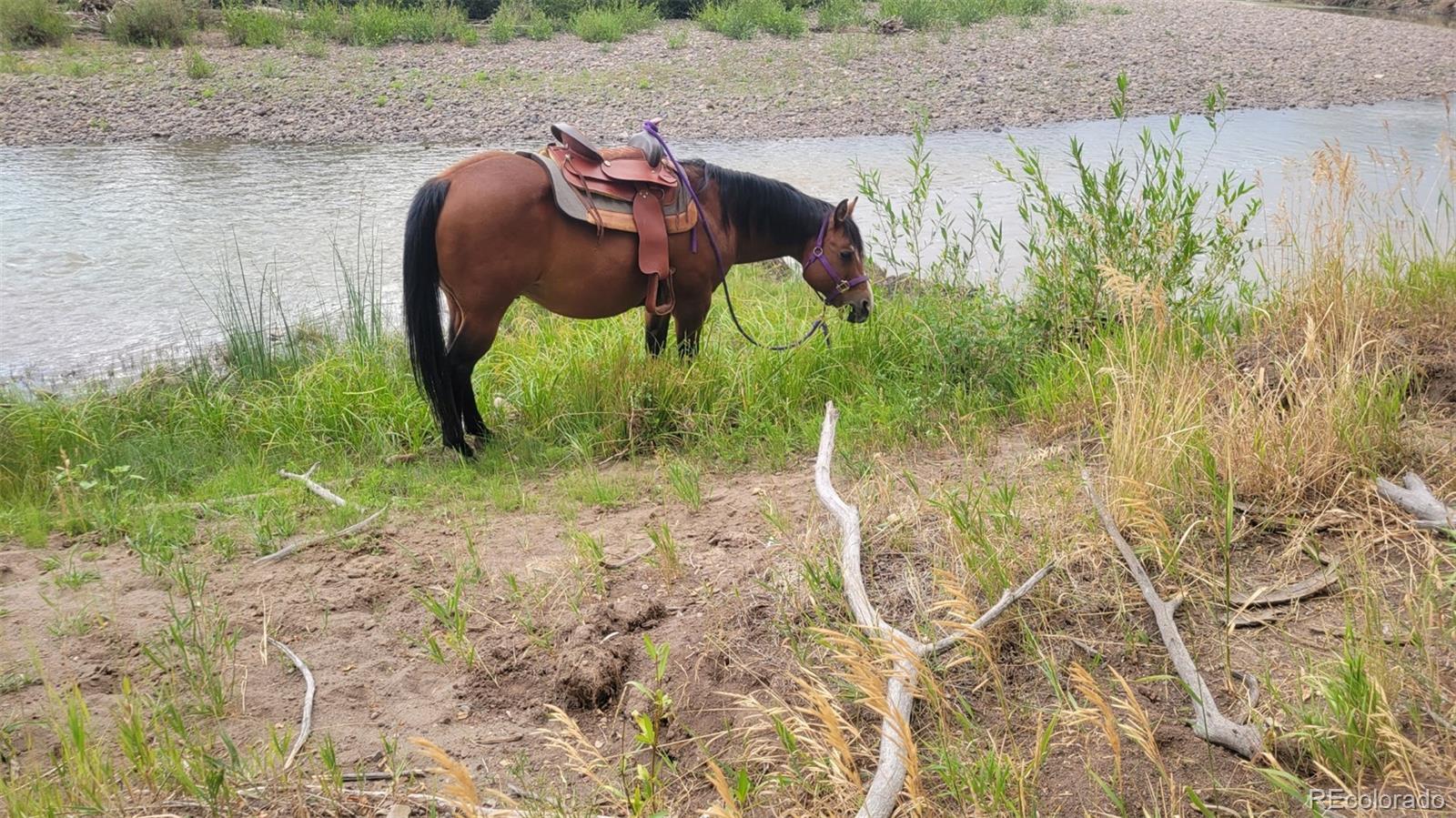 12753 13.5 Antonito CO 81120