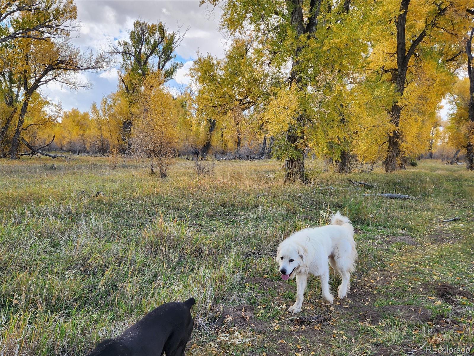 12753 13.5 Antonito CO 81120