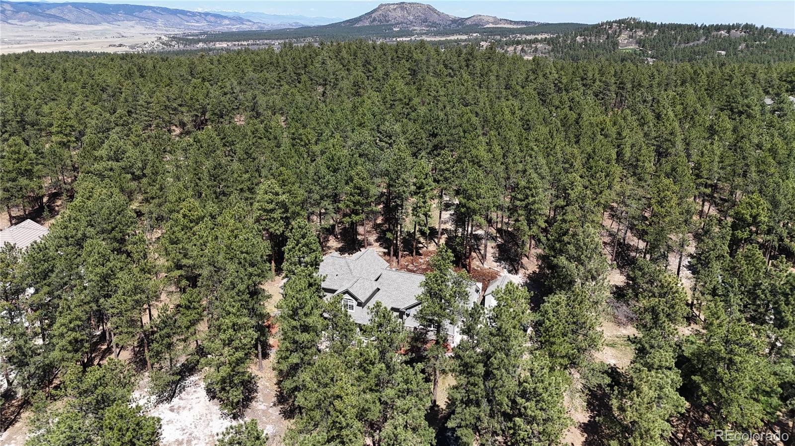 1767 Cinnamon Road Larkspur CO 80118
