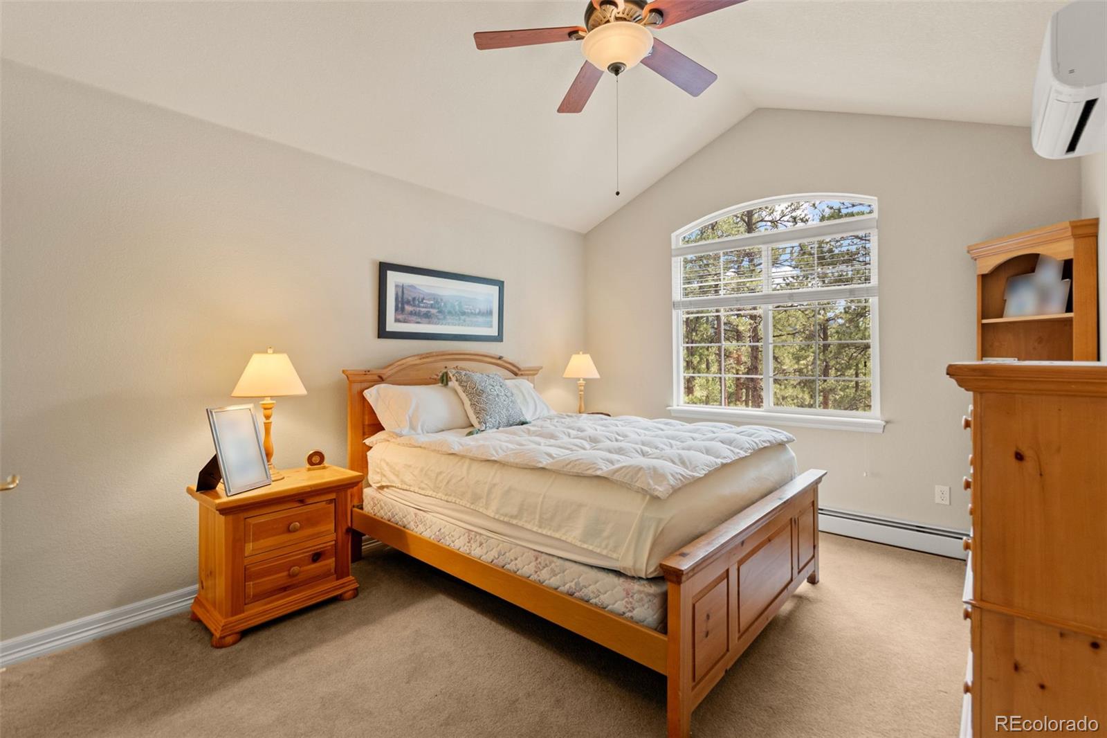 1767 Cinnamon Road Larkspur CO 80118