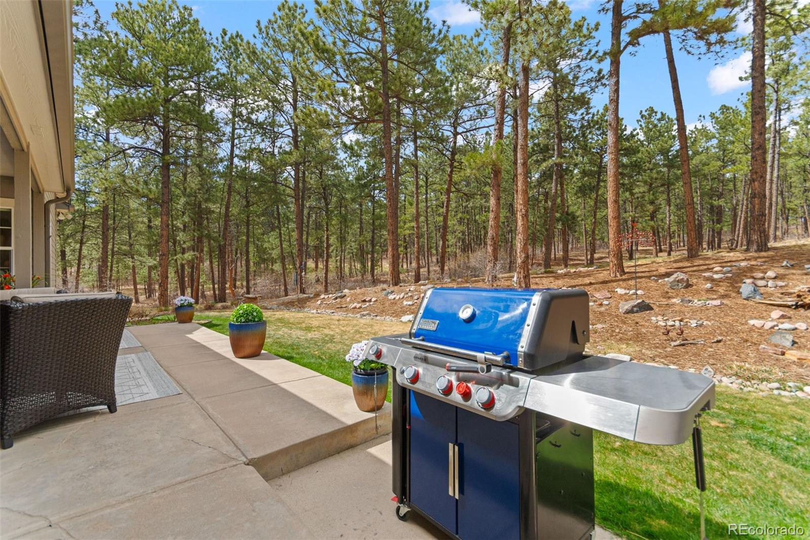 1767 Cinnamon Road Larkspur CO 80118