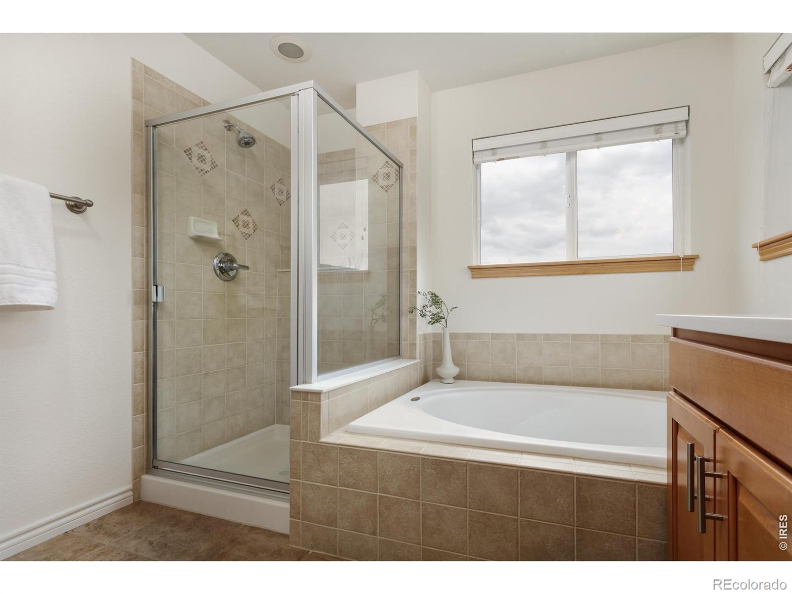 103 Estes Court Lyons CO 80540