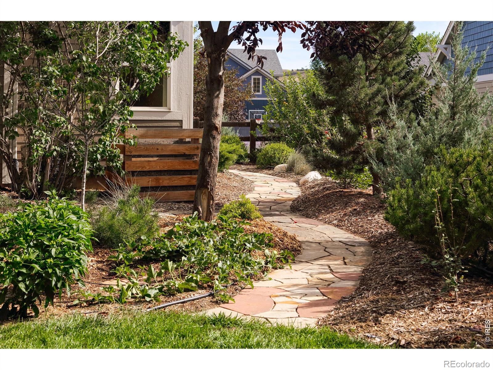 103 Estes Court Lyons CO 80540