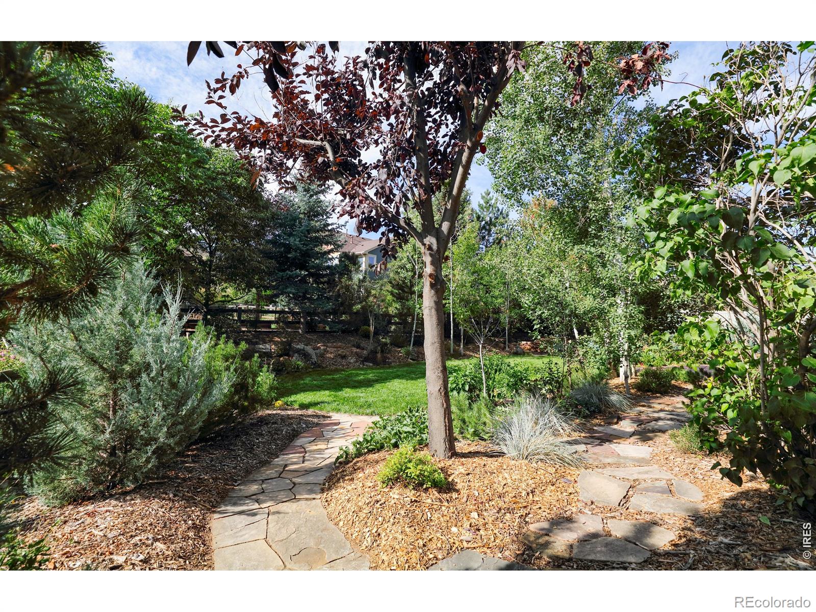 103 Estes Court Lyons CO 80540