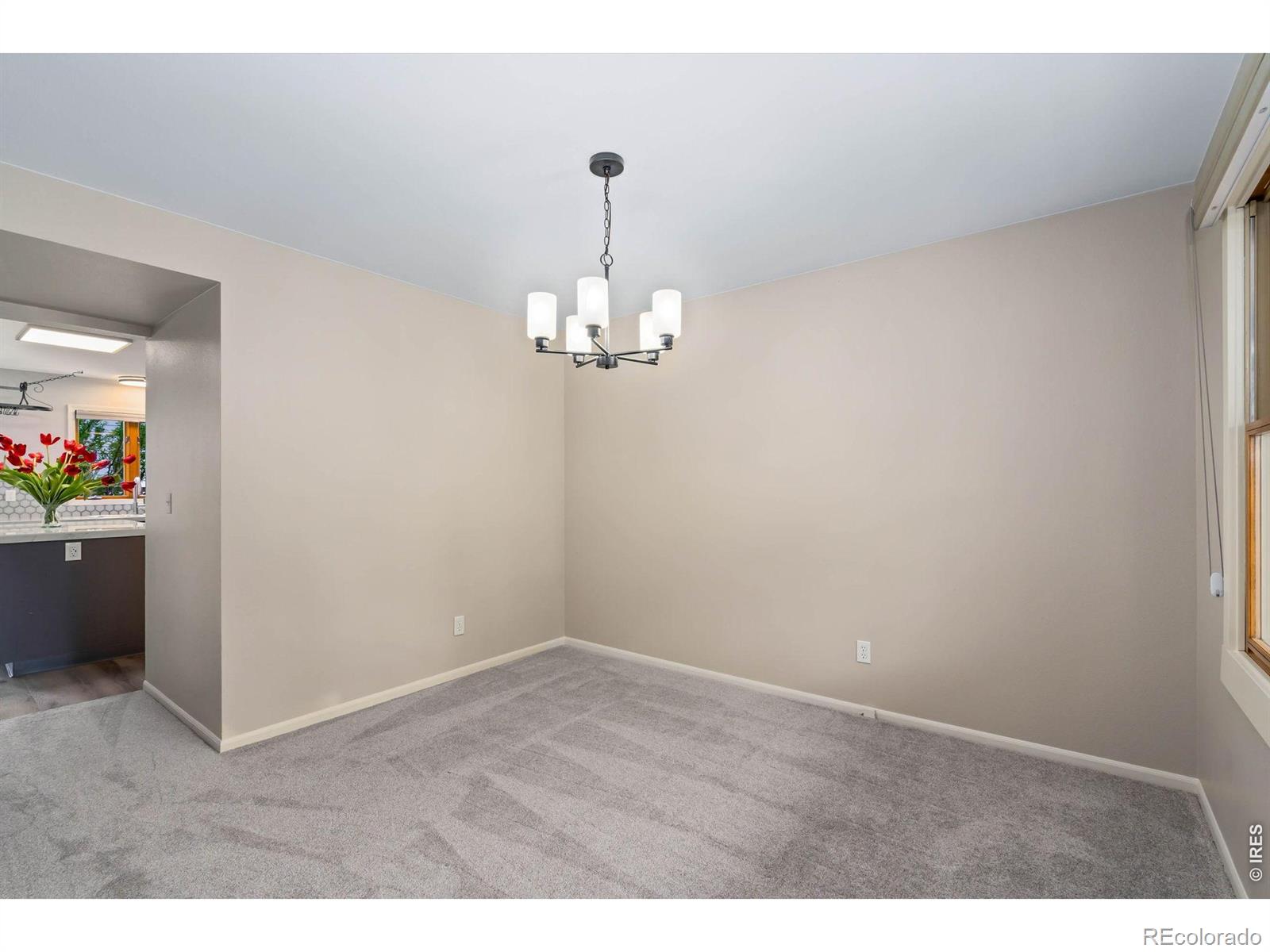 1624 Faraday Circle Fort Collins CO 80525