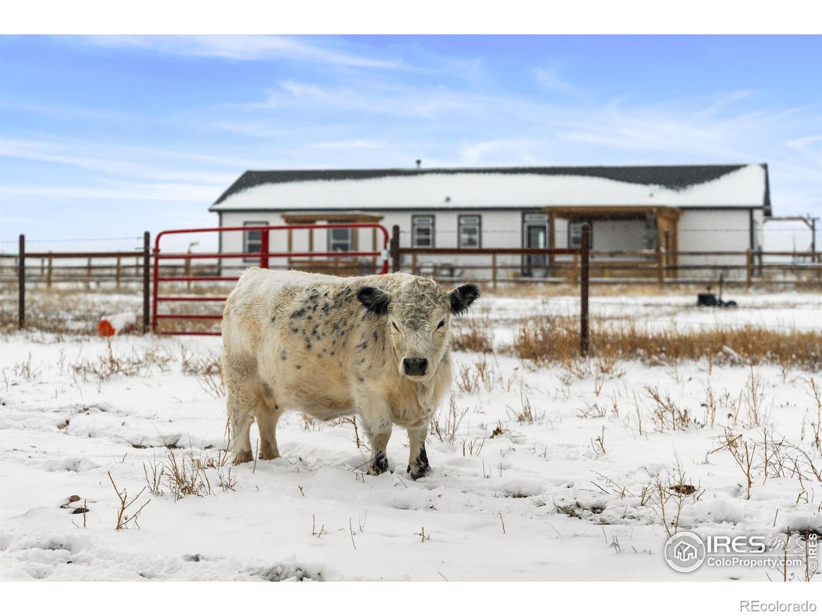 51880 County Road 33 Nunn CO 80648