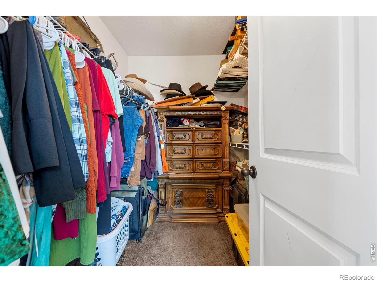 324 E 29th Street Greeley CO 80631